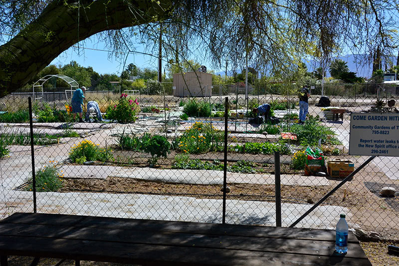 Community Garden New Spirit Lutheran Church